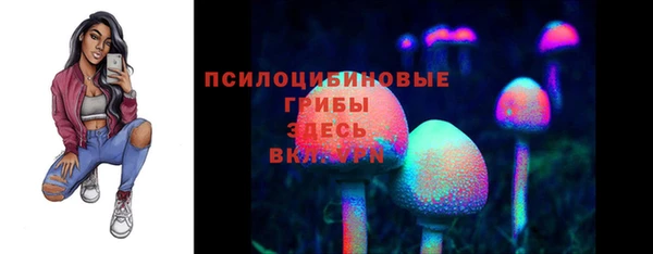 2c-b Арсеньев